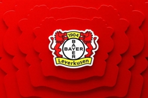 客场比赛因大雪改期！勒沃库森比赛官方：票款全退，门票仍有效