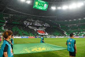 中国体育报：增加5%可售票座位利好赛事，将缓解“一票难求”问题